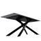 DT330 Стол обеденный Austrilia sand black 200*80*76, керамич. столешница, основание металл                     черный - стол с керамической столешницей для гостиной и кухни.